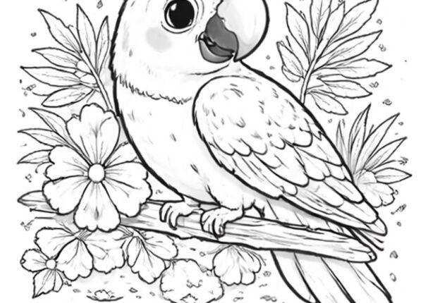 Guacamaya para colorear