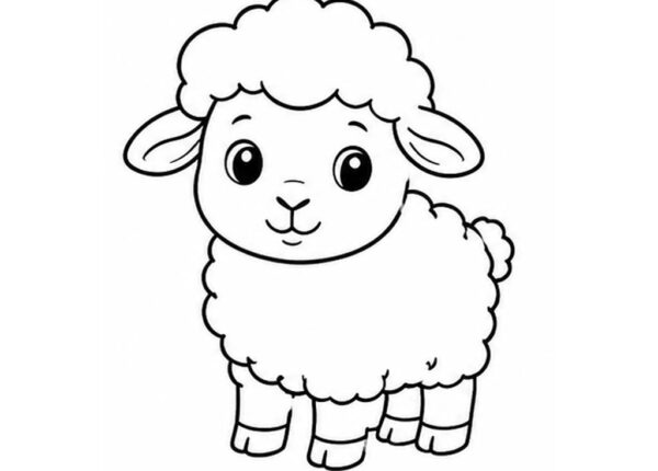 Oveja para colorear