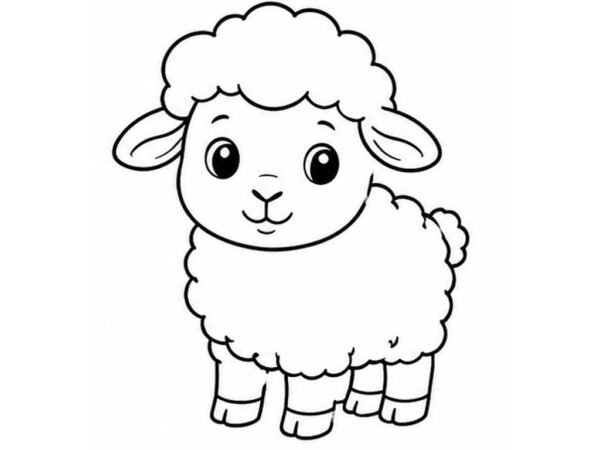 Oveja para colorear
