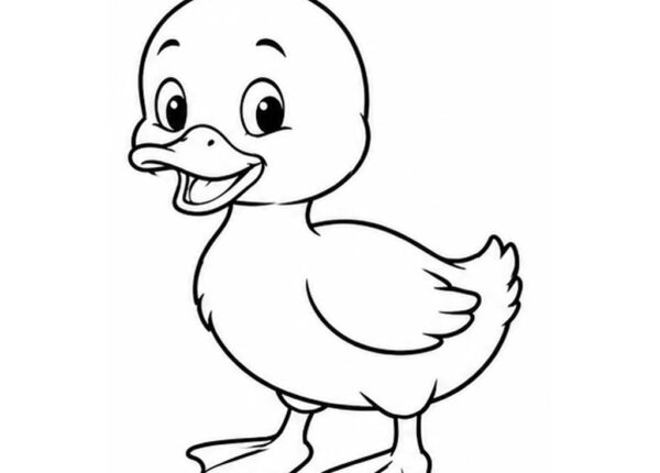 Pato para colorear