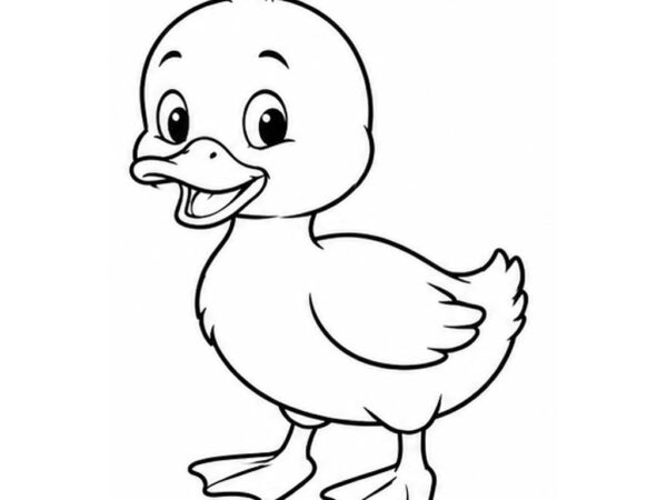 Pato para colorear