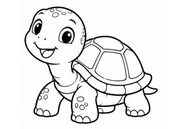 Tortuga para colorear