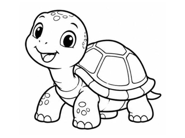 Tortuga para colorear