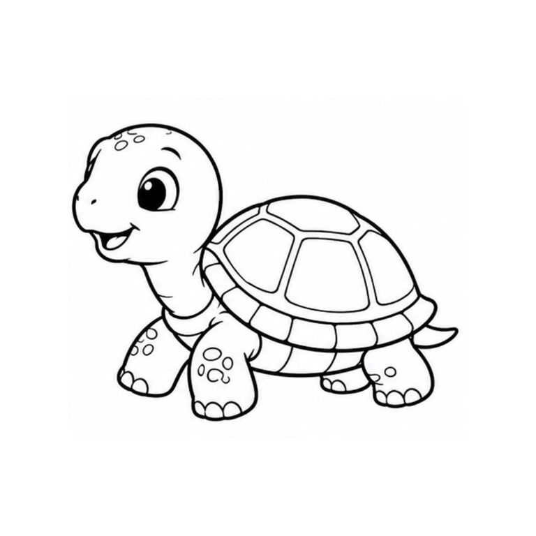 Tortuga para colorear