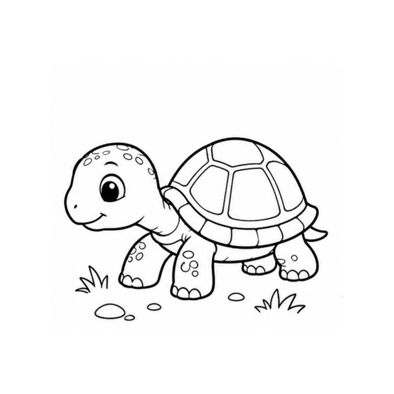 Tortuga para colorear