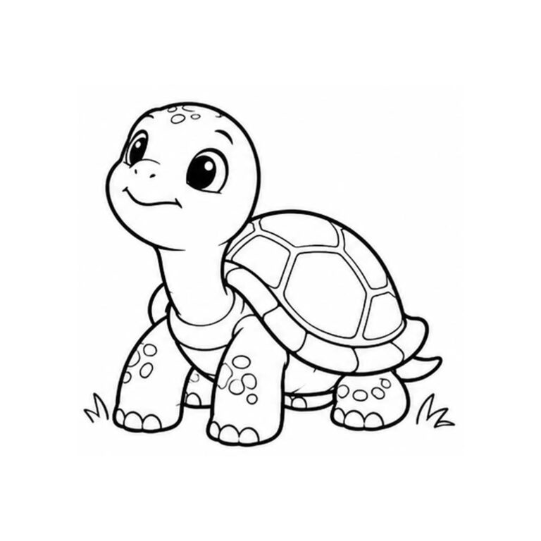 Tortuga para colorear